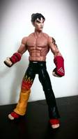Jin Kazama (Tekken) Custom Action Figure