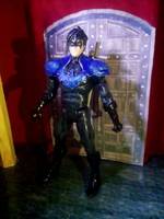 Nightwing (Batman) Custom Action Figure