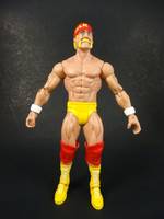 Basic Series Hulk Hogan (Wrestling) Custom Action Figure