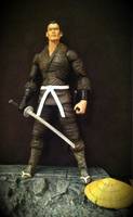 JUBEI - Ninja Scroll (Ninja Scroll) Custom Action Figure