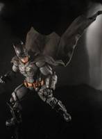 The Batman (DC Universe) Custom Action Figure