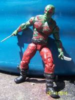 Drax the Destoyer (Marvel Universe) Custom Action Figure