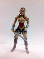 Injustice Wonder Woman (Injustice) Custom Action Figure