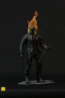 Ghost Rider - Spirits of Vengeance (Ghost Rider) Custom Action Figure