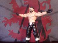 Seth Rollins New 2014 Authority Heel Turn Custom Figure (Wrestling) Custom Action Figure