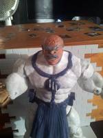 Conquest (Invincible) Custom Action Figure