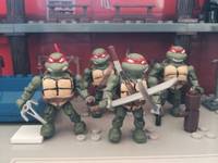 Lego Tmnt (Teenage Mutant Ninja Turtles) Custom Action Figure