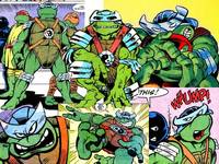 TMNT Adventures Stump Wrestling Leonardo (Teenage Mutant Ninja Turtles) Custom Action Figure