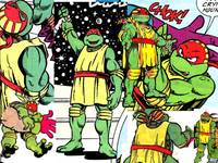 TMNT Adventures Stump Wrestling Donatello (Teenage Mutant Ninja Turtles) Custom Action Figure