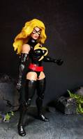 Miss Marvel (Warbird) (Marvel Legends) Custom Action Figure
