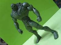 Swamp Thing DCU (DC Universe) Custom Action Figure