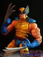 Wolverine (Marvel Legends) Custom Action Figure
