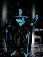 Night Raven (DC Universe) Custom Action Figure