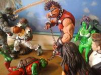 Teenage Mutant Street Fighter Turtles... Birdie-Bop (Teenage Mutant Ninja Turtles) Custom Action Figure