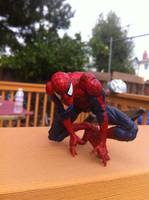 Mcfarlane Spider-Man (Spider-Man) Custom Action Figure