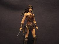 Gal Gadot Wonder Woman - Bats Vs Supes: Dawn of Justice (Wonder Woman) Custom Action Figure