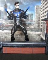 Nightwing (DC Universe) Custom Action Figure