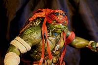 Custom TMNT Raphael (Teenage Mutant Ninja Turtles) Custom Action Figure