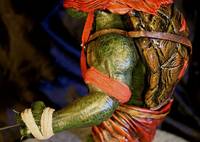 Custom TMNT Raphael (Teenage Mutant Ninja Turtles) Custom Action Figure