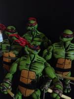 Leonardo (Teenage Mutant Ninja Turtles) Custom Action Figure