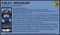 G.I. Joe Reloaded Crackdown (G.I. Joe) Custom Action Figure