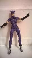 Dc Injustice Catwoman (DC Infinite Heroes) Custom Action Figure