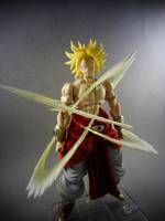 S.H Figuarts Broly (Dragonball Z) Custom Action Figure