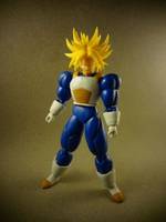 S.H Figuarts Super Trunks (Dragonball Z) Custom Action Figure