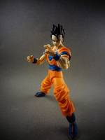 S.H Figuarts Ultimate Gohan (Dragonball Z) Custom Action Figure