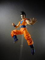 S.H Figuarts Ultimate Gohan (Dragonball Z) Custom Action Figure