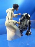 Star Wars Black Series | Princess Leia ANH (Star Wars) Custom Action Figure