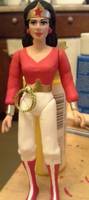 Wonder Woman Bushwackers Costume (Wonder Woman) Custom Action Figure