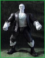 Solomon Grundy (DC Infinite Heroes) Custom Action Figure