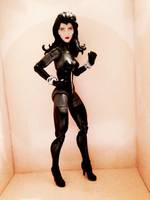 Super Woman (DC Universe) Custom Action Figure