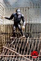Caesar (Planet of the Apes) Custom Action Figure