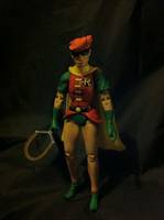 Dark Knight Returns Robin (Carrie Kelley) (DC Universe) Custom Action Figure