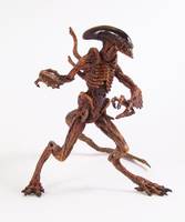 Waarrior Alien (Aliens) Custom Action Figure