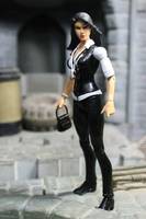 Lois Lane(Office Attire) (DC Universe) Custom Action Figure