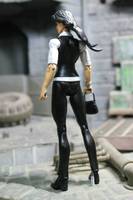 Lois Lane(Office Attire) (DC Universe) Custom Action Figure