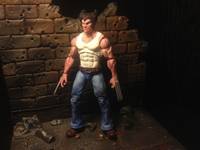 Logan (Marvel Universe) Custom Action Figure