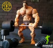 Arnold Schwarzenegger... 7 Time Mr. Olympia Champion (My Heroes) Custom Action Figure