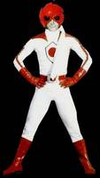 Super Sentai Battle Japan (Power Rangers) Custom Statue / Bust