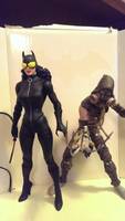 Scarecrow and Catwoman (DC Direct) Custom Action Figure