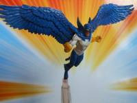 Blue Jay (DC Universe) Custom Action Figure