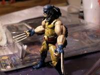 Feral Wolverine (Marvel Legends) Custom Action Figure