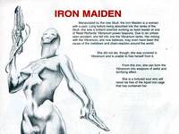 Iron Maiden (Earth X) (Marvel Legends) Custom Action Figure