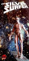 The Silver Surfer (Silver Surfer) Custom Action Figure