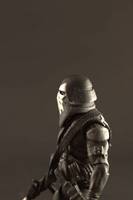 Spec Ops Ghost Trooper (Star Wars) Custom Action Figure