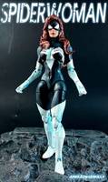Spider Woman '' Julia Carpenter '' (Marvel Legends) Custom Action Figure