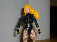 Black Canary (DC Universe) Custom Action Figure